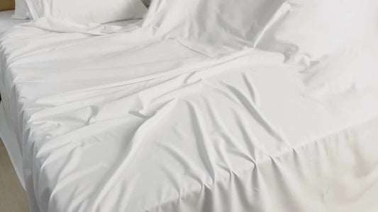 Microfibre Flat Sheet - Pack of 6